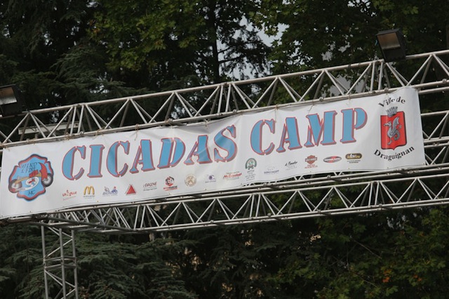 CICADAS - 2007